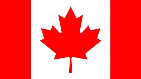 哈尔滨2月3日举行亚冬会火炬传递活动——新华网资讯